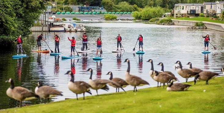 Paddle Boarders